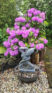 Balistyle guesthouse incl Jacuzzi near Amsterdam and Schiphol - Vijfhuizen - 3