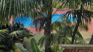 Riverside Gardens On Myall - Tea Gardens - 0