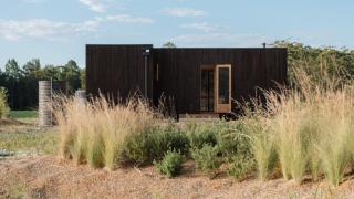 Minima On Mungo - 8