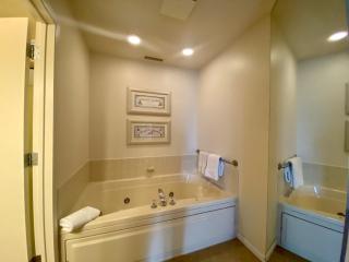 Gorgeous Lake View Deluxe Condo at The Shores - Traverse City - 7