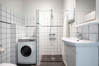Large Flats in Central Copenhagen by Tivoli Gardens - Copenaghen - 2