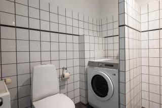 Large Flats in Central Copenhagen by Tivoli Gardens - Copenaghen - 4