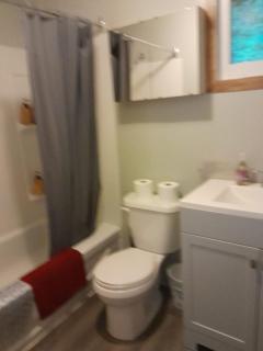 Lakefront Hideaway Resort 10 Total cabins-Lake View, Private Beach - 7