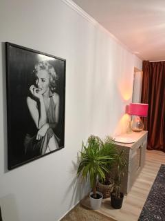 Apartament Gwiazdeczka - Stettin - 8