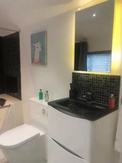 The Willows - Great Horkesley - 9