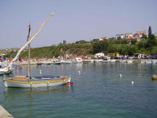 Apartment in Rtina/Zadar Riviera 8161 - Miočić - 2