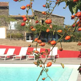 Maison spacieuse avec piscine à Saint-Lager-Bressac - 9