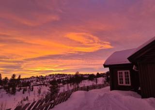Moderne og barnevennlig hytte på fjellet 3 soverom 3 bedrooms - Nes - 1