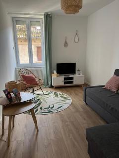 *La Belle Saison* lumineux, espace de travail, Wifi, Belfort ville - Belfort - 7