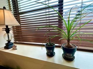 青島神社近く 一階貸切 最大六名様まで 暮らすように滞在 - 1