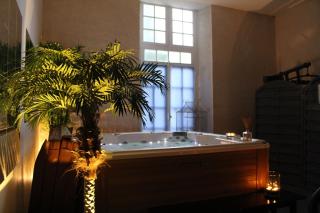 Manoir de la Baronnie - Saint Malo - 2