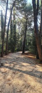 Apartment in Rovinj with balcony, air conditioning, WiFi, washing machine 5116-1 - 2