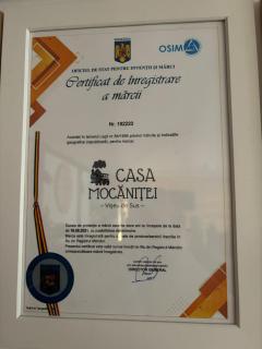 Casa Mocanitei - 9