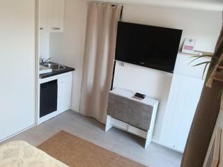 Studio dans le Vignoble Nantais - Saint-Fiacre-sur-Maine - 4
