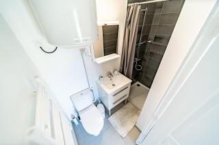 Le Petit Clément - Charmant et Cosy - Villeurbanne - 1