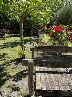 CicloPark Morano Calabro - Morano Calabro - 1