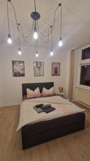 Traumwohnung in Allstadtnähe mit Netflix & WLAN - 9