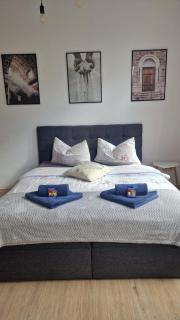 Traumwohnung in Allstadtnähe mit Netflix & WLAN - Erfurt - 8