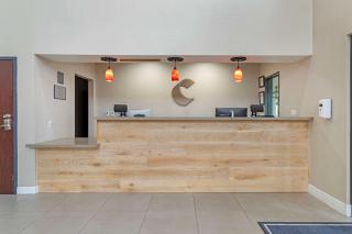 Comfort Suites Shenandoah-The Woodlands - The Woodlands - 8