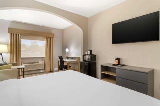 Comfort Suites Shenandoah-The Woodlands - The Woodlands - 3
