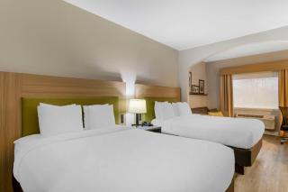 Comfort Suites Shenandoah-The Woodlands - The Woodlands - 1