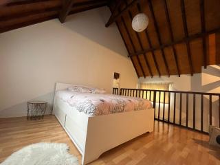 Le mortier d’or duplex hyper centre ville - 3