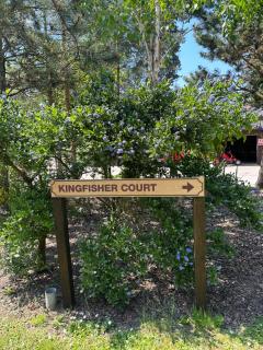 WILD DUCK HAVEN RESORT - Belton - 7