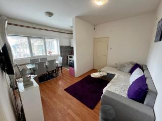 apartman centar S - Pirot - 9