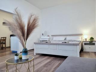 Modern apartment near Wenceslas Square - Praga - 1