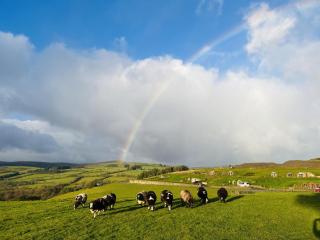 Badgers View - Rhayader - 4
