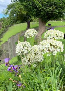 Myrtleberry Studio BnB - Castlemorton - 8