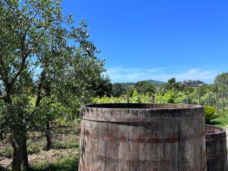 Acquasale - Agropoli - 1