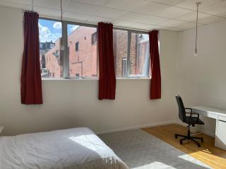 Work-Friendly Dalston Flat - London - 9