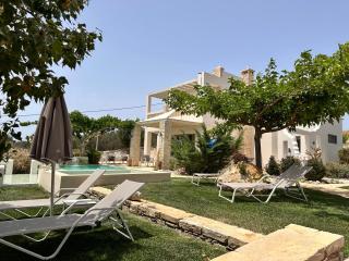 Villa Irida - Pitsidia - 8