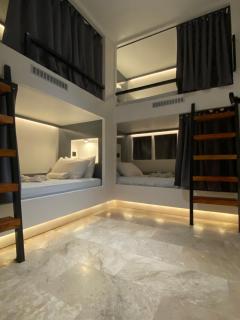 Wild Monkeys Hostel - 2