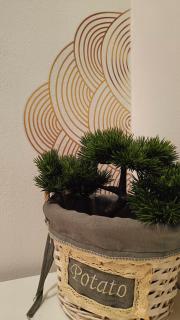 MANZONI APARTS - Comfort SUITE - San Pellegrino Terme - 2