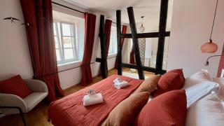 Appartement Le Verdoyant hyper centre avec Sauna et Parking - Colmar - 9
