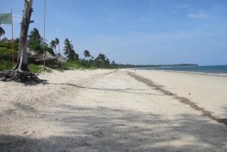 Villa Palma - Pangani - 4