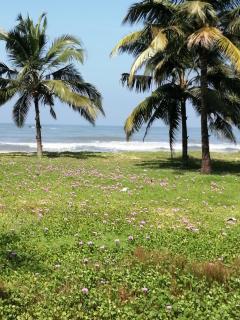 Ocean Whisper- psst! hidden gem -  - 3