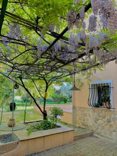 Écrin de nature , centre-ville et campagne, appart 2 chambres, grand jardin, en Provence verte - Brignoles - 2