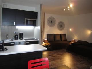 Appartement familial centre-ville avec wifi et animaux admis - FR-1-512-210 - 0