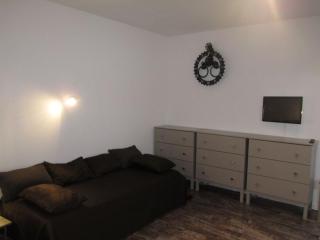 Appartement familial centre-ville avec wifi et animaux admis - FR-1-512-210 - 4