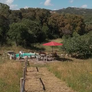 Eco Lodge nella natura Con Piscina privata "La Grande Quercia" - Calangianus - 4