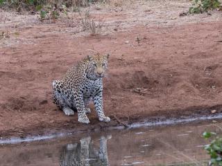 Khanya Tented Camp - 8