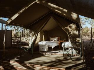 Khanya Conservation Camp - 2