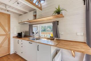 Rode Tiny House met zwembad - Zeewolde - 1