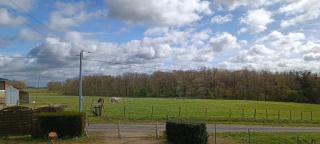 Pleine nature, 10 min zoo Beauval Mareuil sur cher - Mareuil-sur-Cher - 6