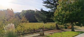 Pleine nature, 10 min zoo Beauval Mareuil sur cher - Mareuil-sur-Cher - 5
