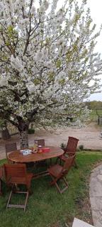 Pleine nature, 10 min zoo Beauval Mareuil sur cher - Mareuil-sur-Cher - 4