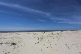 Buckleys Beach House by Pristine Property Vacation Rentals - 9